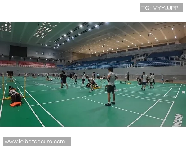 羽毛球的魅力与实力全景揭秘武汉羽毛球队的辉煌历程与成就